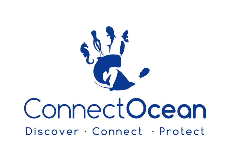 Logo connectocean blue