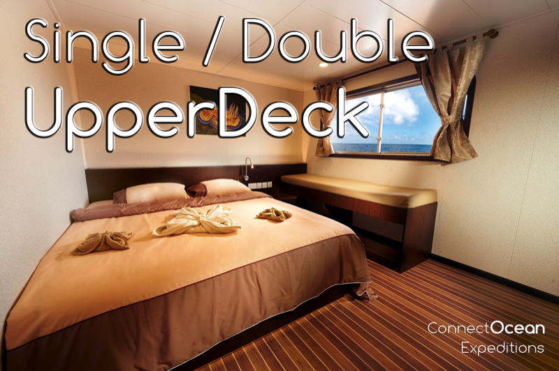 MV Blue Manta Single / Double Upper Deck