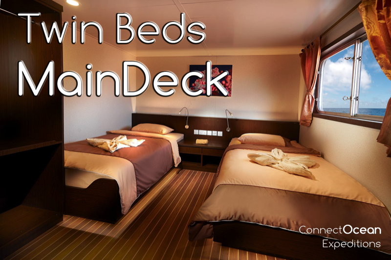MV Blue Manta Twin Beds Main Deck