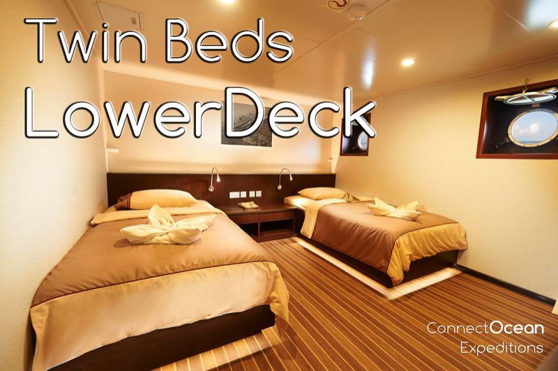 MV Blue Manta Twin Beds Lower Deck