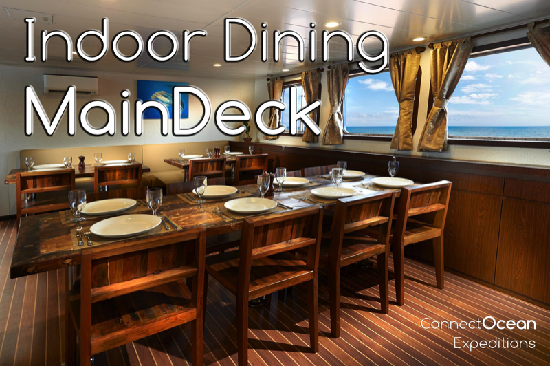 MV Blue Manta Indoor Dining Main Deck