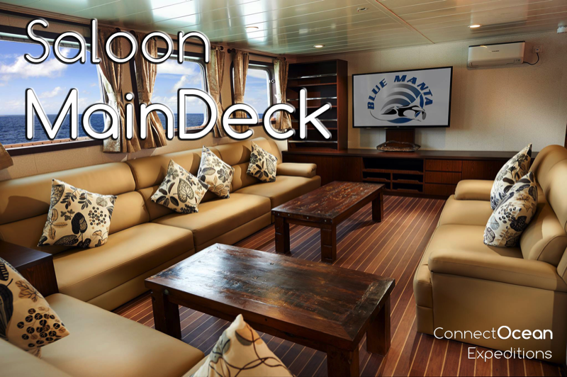 MV BLUE MANTA Saloon Main Deck