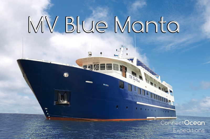 MV Blue Manta Liveaboard Expedition Specials