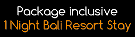package inclusive 1 night bali resort stay