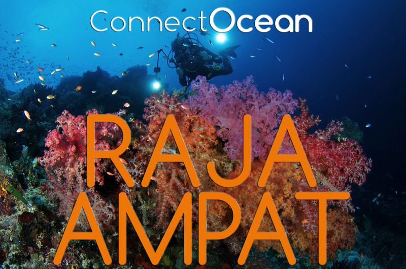 raja ampat resort liveaboard extension