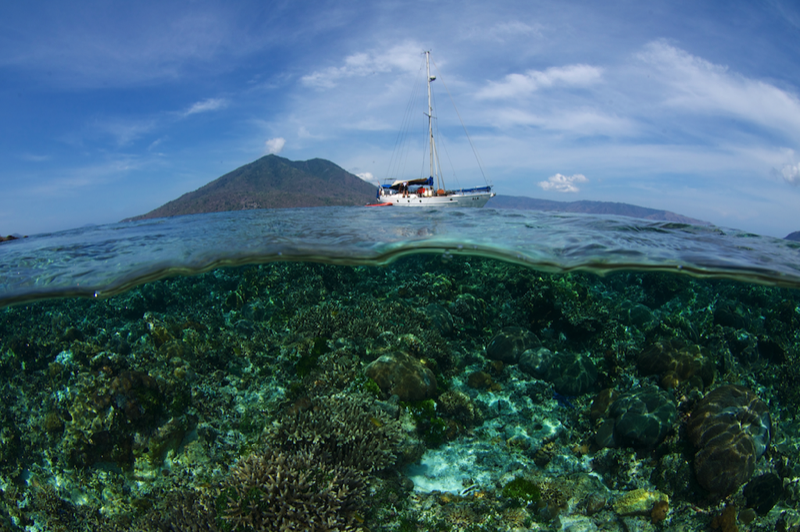 connect ocean citizen science expedtion coral triangle