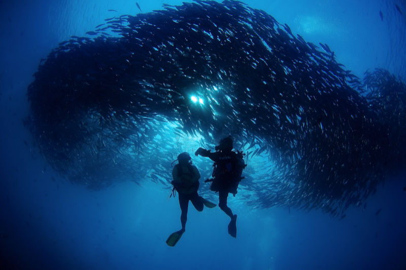 divers exploring connect ocean expedition coral triangle costa rica