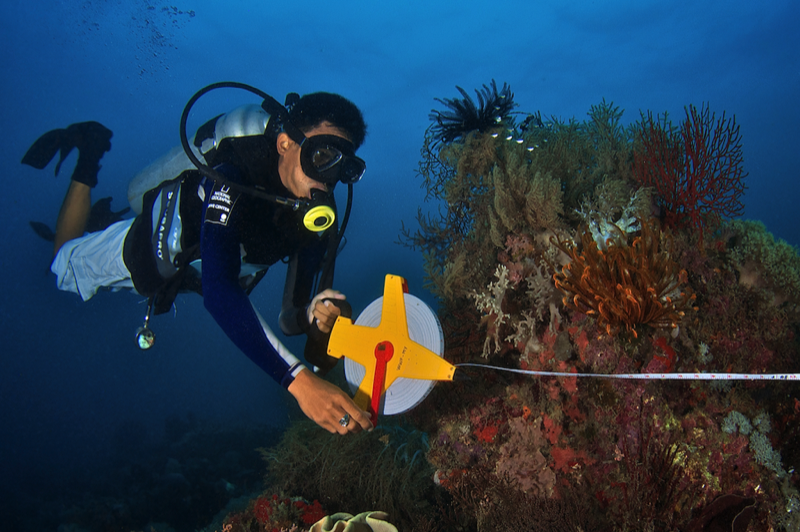 connectocean, reef monitoring, reef check, citizen science, expedition