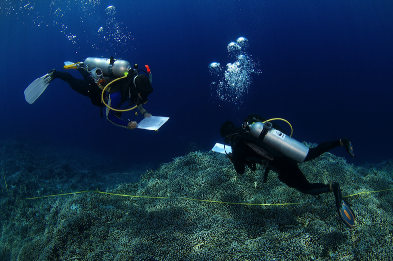 citizen science expedition reef monitoring connect ocean coral triangle