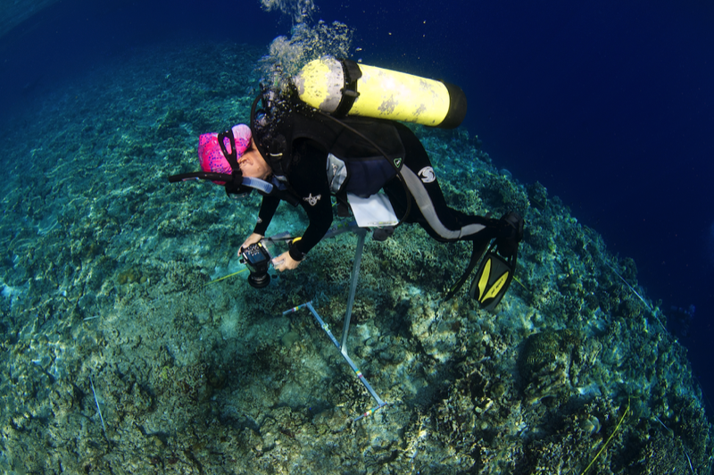Connect Ocean Research citizen science expedition coral triangle