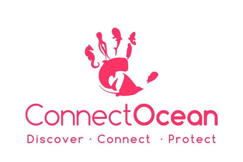 ConnectOcean Logo Red