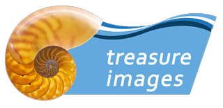 logo treasure images malaysia