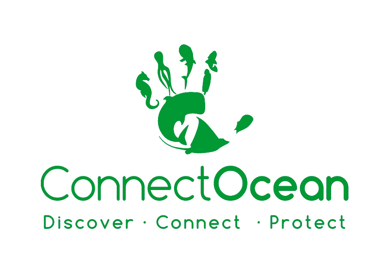 connectocean logo green