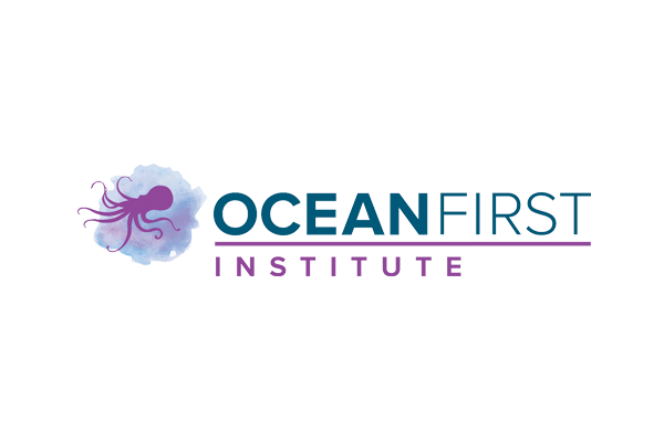 ocean, education, children, conservation, connectOcean, classrooms, experience